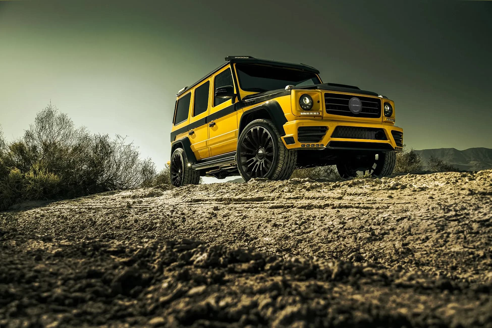 G-Class WIDE (W463) detail 6