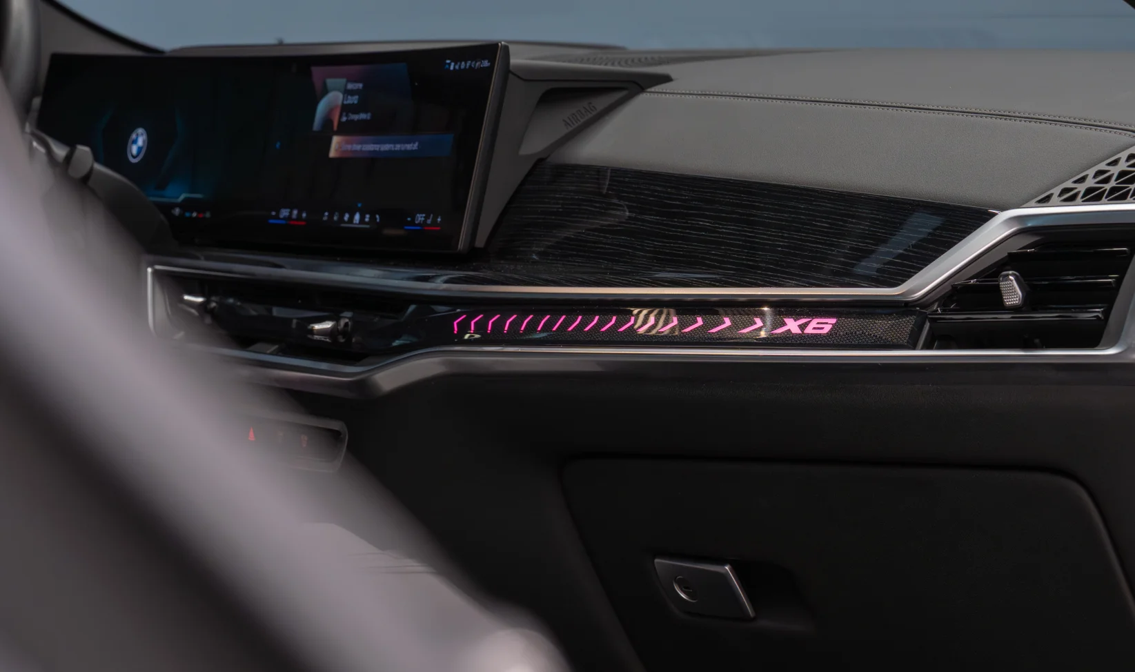 2021 BMW X6 xDrive40I gallery 12